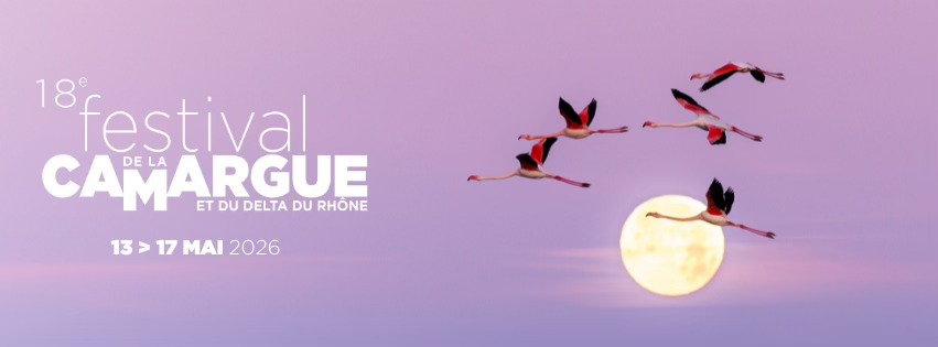 Festival-Camargue-2026_Bannière